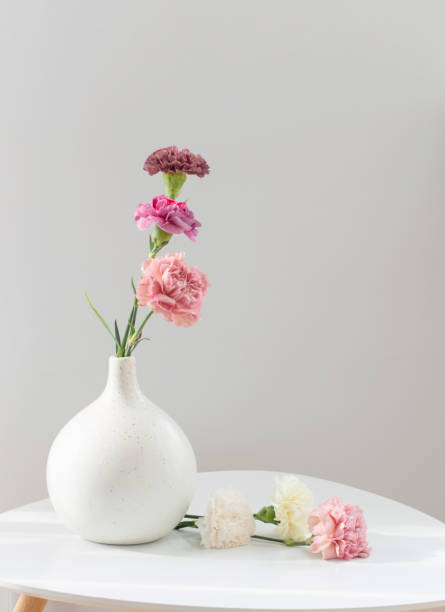 istock beautiful carnation flowers in ceramic vase on white table 1613463410