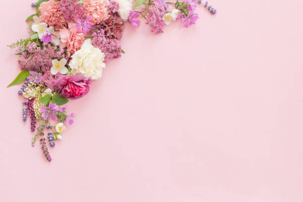istock beautiful summer flowers on pink paper background 1613463556