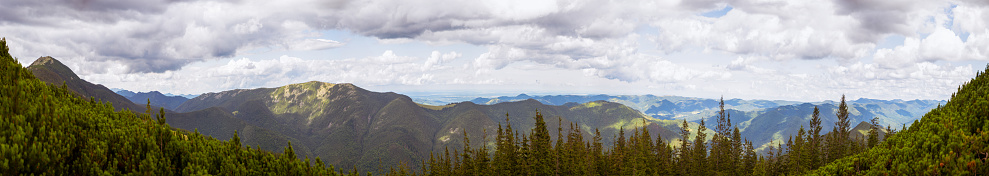 Panoramic view of the Carpathian mountains of Ukraine with forests and clouds