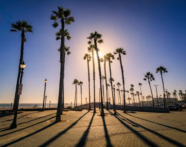 Palm tree silhouettes with long shadows at sunset by the pier and a Pacific Ocean beach in Huntington Beach, famous tourist destination in California