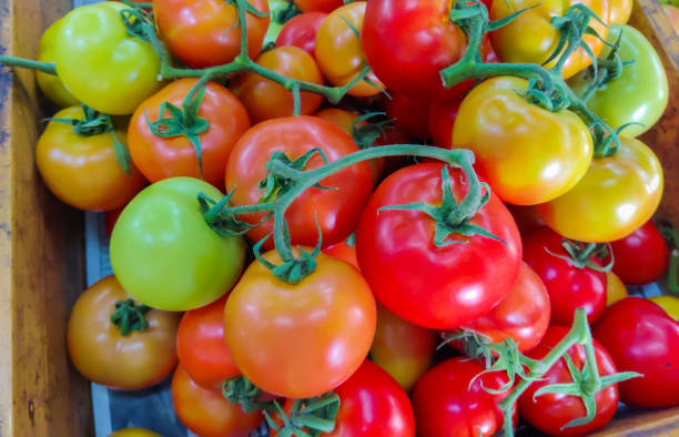 istock Tomatoes lying on a pile sale in market, tomato texture. 1613491143