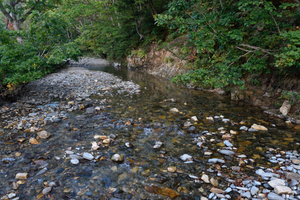 istock Mt. Shibutsu, Oze, Gunma, Japan 1613498719