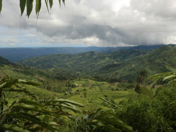 istock Beautiful green scenery on the way 1613526888