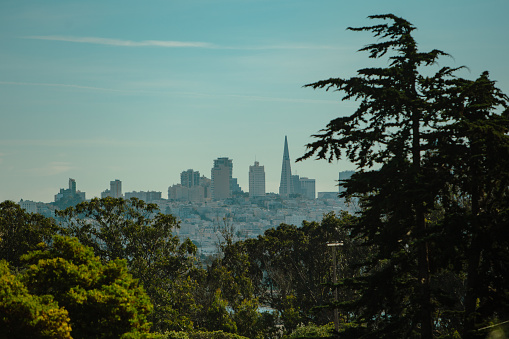 View of the bay and the skyline of San Francisco