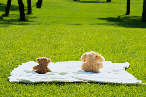 Two children's teddy bears sit on the grass in the summer in a field in the sun in Ukraine