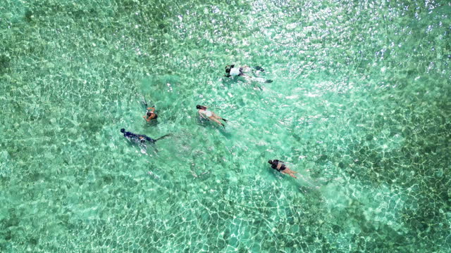 Aerial view of Tourist snorkeling around reef in ocean