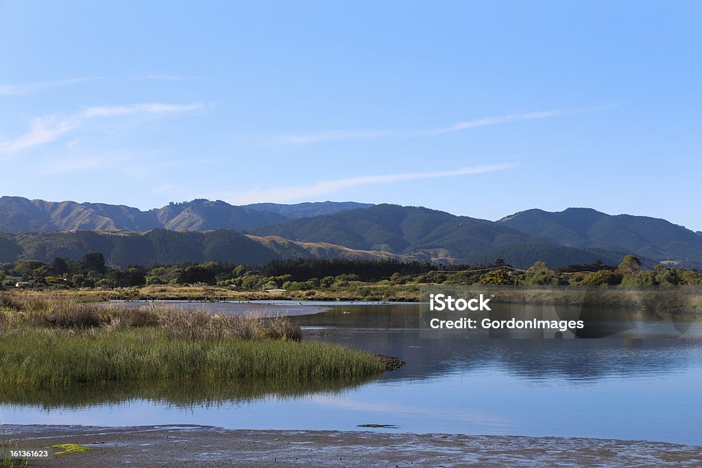 Humedales - Foto de stock de Agua libre de derechos