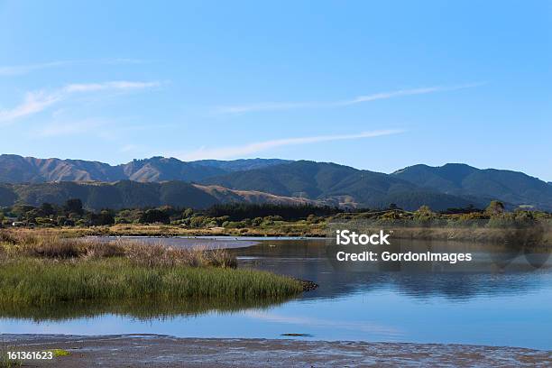 Humedales Foto de stock y más banco de imágenes de Agua - Agua, Aire libre, Colina