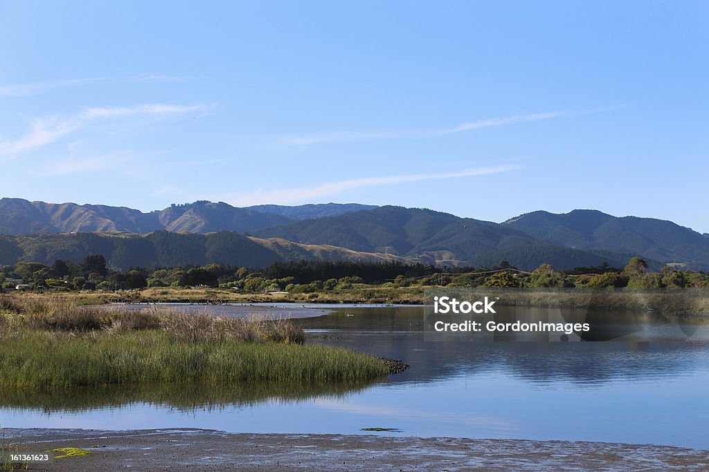 湿地帯 - ニュージーランドのロイヤリティフリーストックフォト