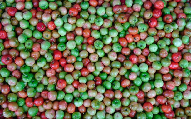 istock Malpighia glabra (red acerola) fruits 1613625606