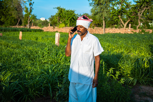 Indian farmer man talking on phone while standing in green field, agriculture and technology concept, 5g network