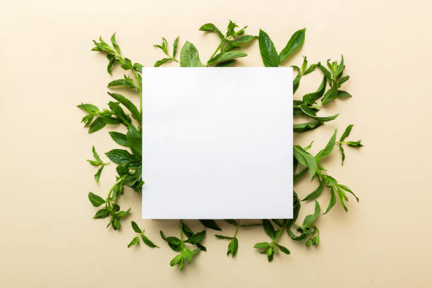 istock Wreath frame made of empty paper blank with space for text and mint leaves on colored background. . Mint Pattern. Flat lay. Top view 1613632862