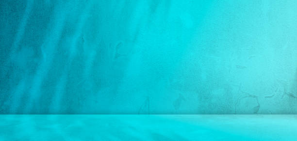 istock Background Blue Shadow Summer Studio Room Wall Floor Pastel Leaf, Backdrop Table Product Cosmetic, 3d Kitchen Minimalist Display Platform, Abstract Plant Mockup Podium Interior Template Space 1613634060