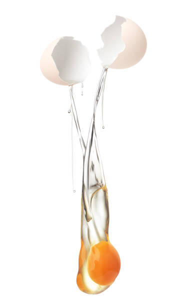 istock Egg yolk and white dropping out of brown cracked shell 1613637825