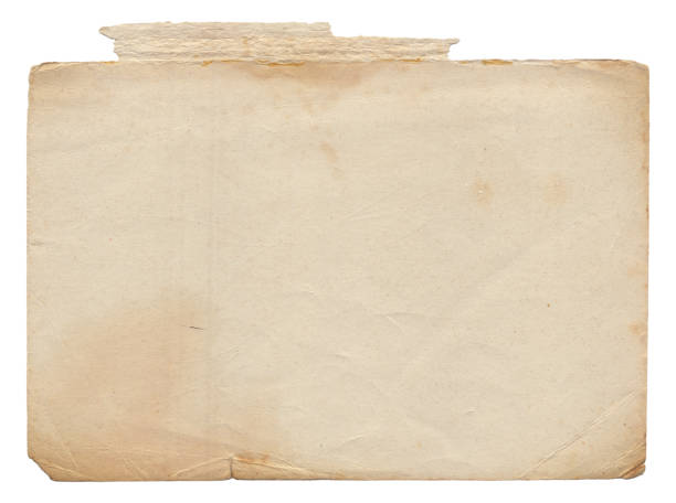 istock Vintage background of old paper texture with spots 1613639443