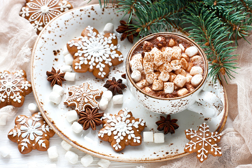 Hot cocoa with marshmallows   and gingerbread cookies   on  light background. Christmas concept
