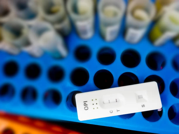istock Rapid screening test cassette isolated for Opioid drug test showing positive result. 1613656874