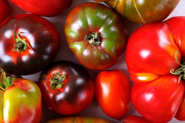 istock Assorted tomatoes of different colors and sizes 1613658490