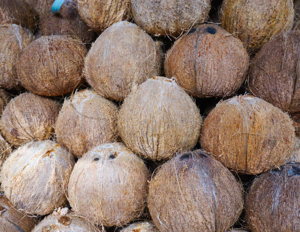 istock Lots of ripe coconuts at the market 1613670367