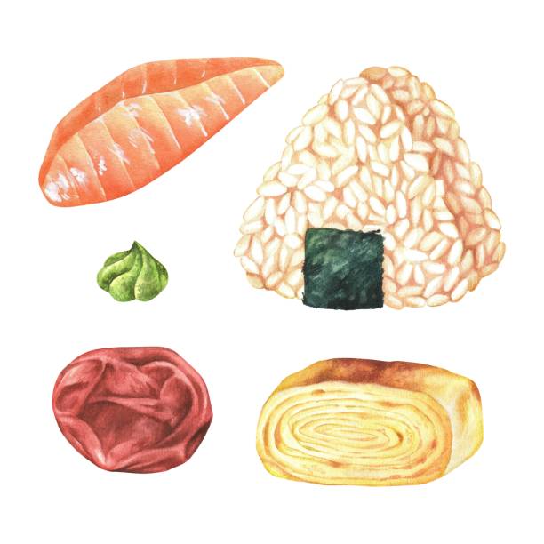 일본식 스낵 세트. 오니기리, 연어 사시미, 매실, 롤 오믈렛. 수채화 그림입니다. 아시아 음식. 손으로 그린 타마고, 붉은 물고기, 와사비, 우메보시. 흰색 배경에 분리된 클립 아트 - sushi nigiri white background red stock illustrations