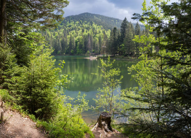 istock Mountain lake with forests on shores in spring sunny day 1613694150