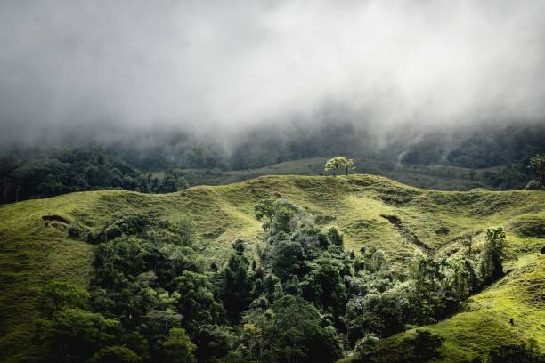 istock Lush, green mountain, with trees dotting its slopes, is illuminated by a gray, cloudy sky. 1613696074