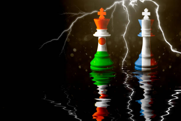 niger and france flags paint over on chess king. 3D illustration niger vs france crisis. niger and france flags paint over on chess king. 3D illustration niger vs france crisis. niger state stock pictures, royalty-free photos & images