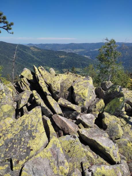 istock Carpathian mountains in summer 1613750367