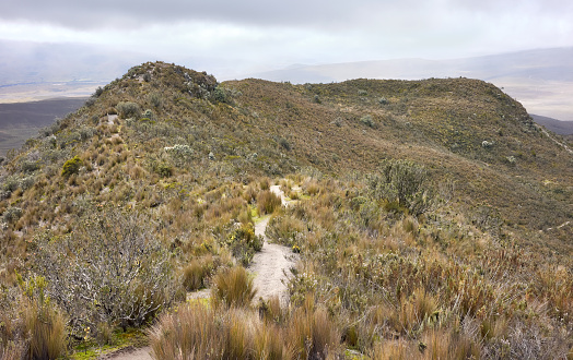 Path to Ruminahui, dormant stratovolcano (4721 meters above sea level), Cotopaxi National Park, Ecuador