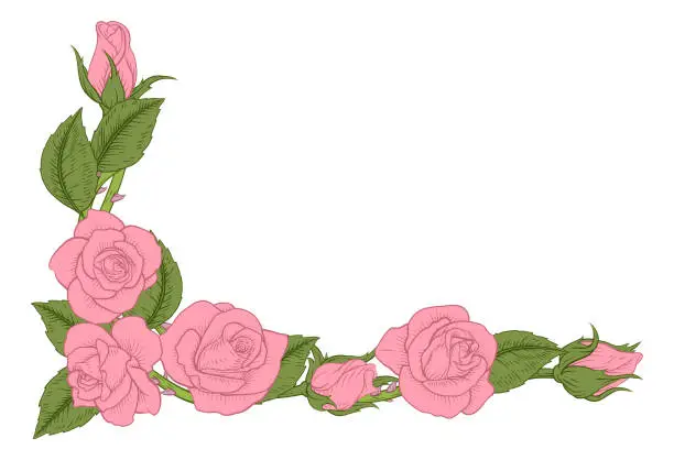 Vector illustration of Roses Woodcut Vintage Style Flower Corner Design