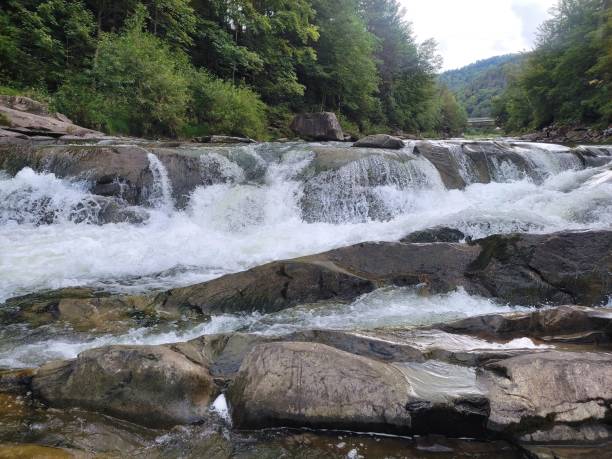 istock Carpathian mountains in summer 1613783185
