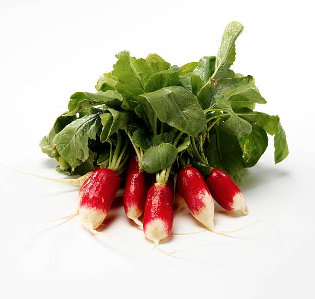 Radish on white stock photo