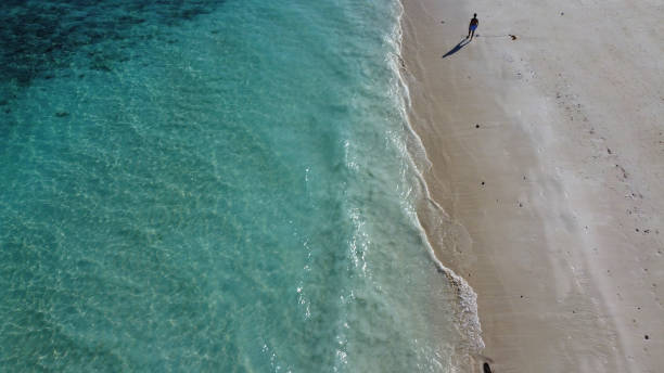 istock Top aerial and tropical beach scenery from bird perspective 1613804958