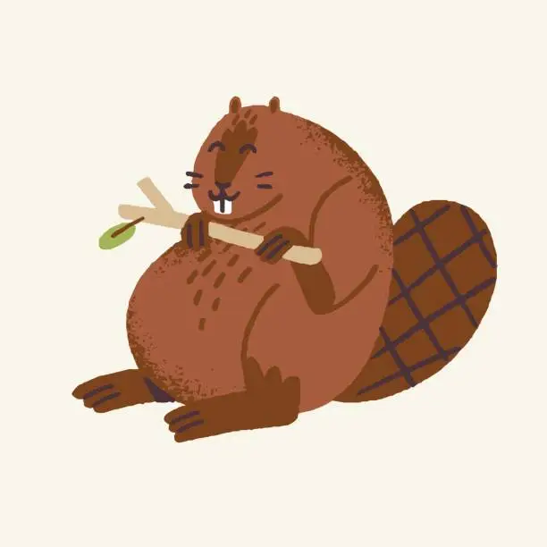 Vector illustration of Cute woodland animal, beaver. Wild rodent with funny tail eat and gnaw branch. Wood beast with big teeth for nibbling, nice fur, childish style. Flat isolated vector illustration on white background