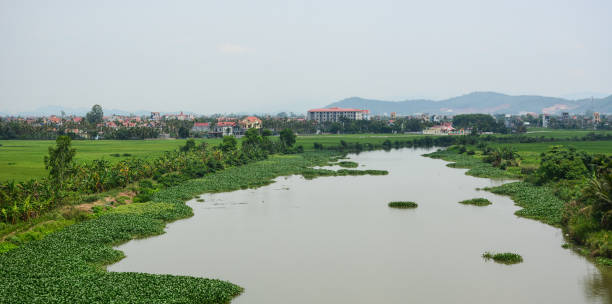 River scenery in Hai Phong, Vietnam