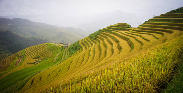 istock Mountain scenery in Northern Vietnam 1613807153