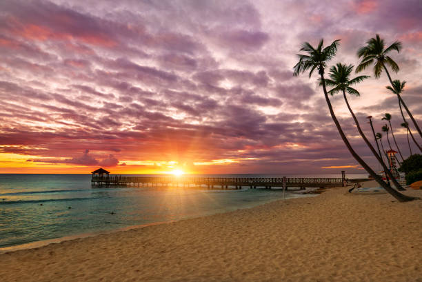 istock Tropical carribbean beach 1613808243