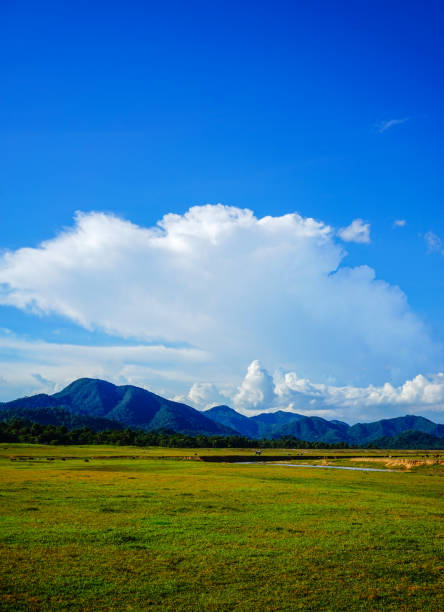 istock Mountain scenery of Central Highlands, Vietnam 1613810946