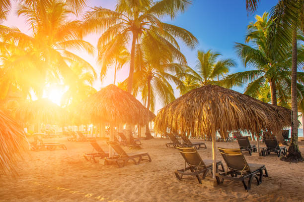 istock Tropical carribbean beach 1613811289