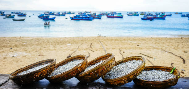 istock Fish market in Quy Nhon, Vietnam 1613830101