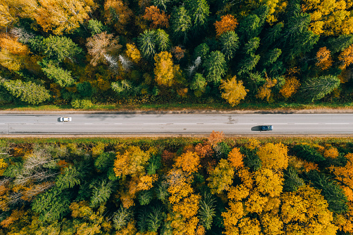 Aerial view of cars on fall country road in colorful autumn forest in Finland. Beautiful landscape