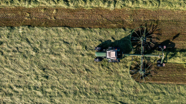 istock Harvesting and drying hay. The grass tedder turns freshly cut grass. Drone photo. 1613838607