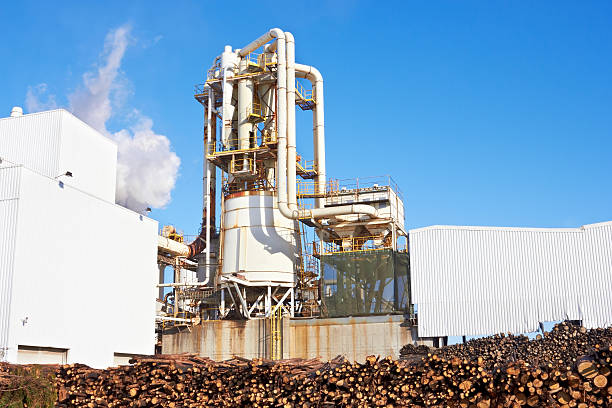 istock Paper Factory and woods 161385311