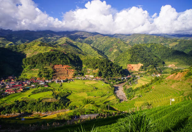 istock Terraced rice field in Northern, Vietnam 1613898610