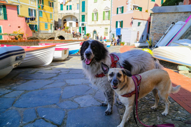 istock Tellaro, Italy 1613924390