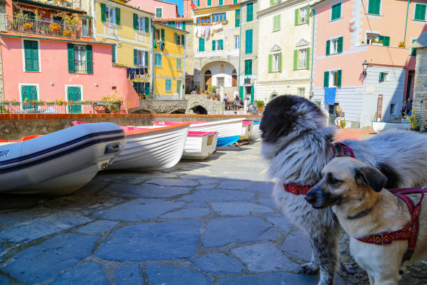 istock Tellaro, Italy 1613924398