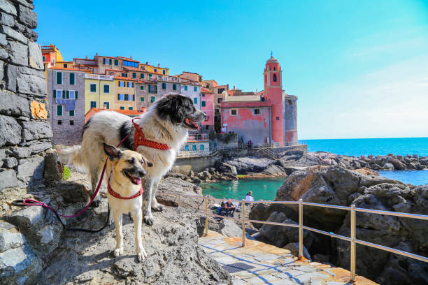 istock Tellaro, Italy 1613928210