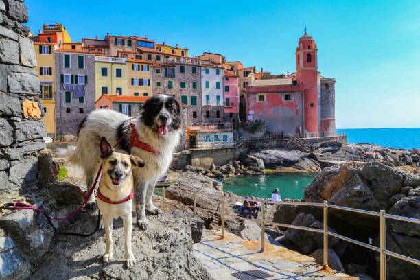 istock Tellaro, Italy 1613928326