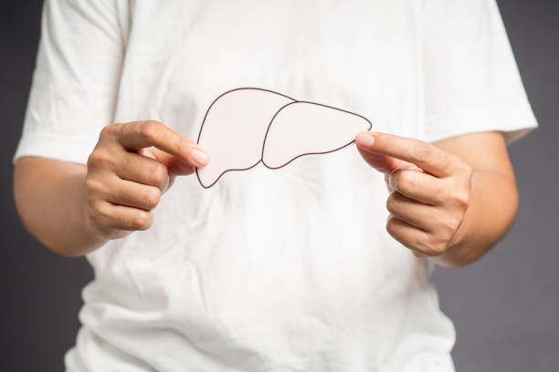 istock Hands holding a liver shape made of paper while standing on a gray background 1613935738