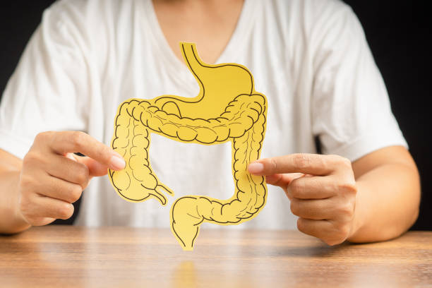 istock Hand holding a large intestine shape made from paper while sitting over a black background 1613935769